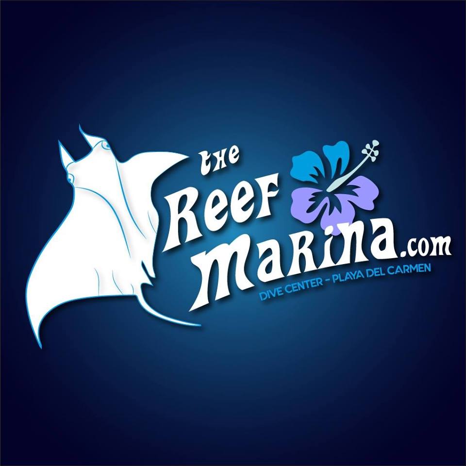 Reef Marina